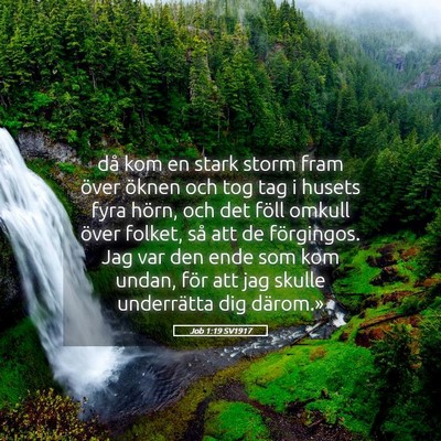 Picture 05 - Job 1:19 SV1917 - då kom en stark storm fram över öknen och tog - Bible Verse Picture