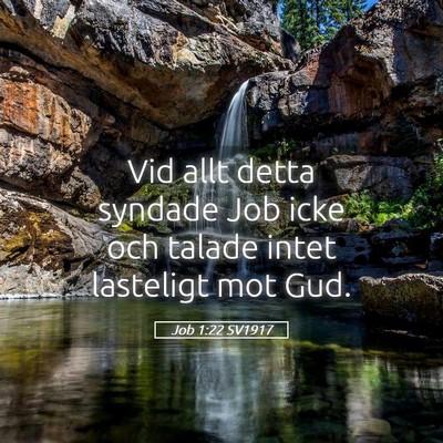 Picture 05 - Job 1:22 SV1917 - Vid allt detta syndade Job icke och talade intet - Bible Verse Picture