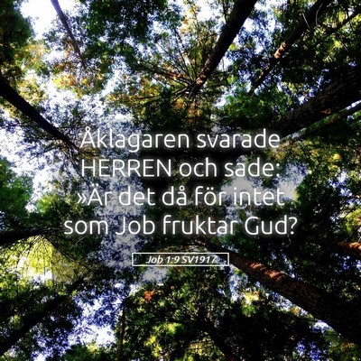 Picture 05 - Job 1:9 SV1917 - Åklagaren svarade HERREN och sade: »Är det då - Bible Verse Picture