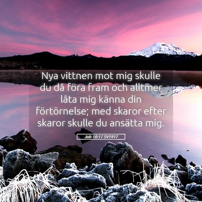 Picture 05 - Job 10:17 SV1917 - Nya vittnen mot mig skulle du då föra fram och - Bible Verse Picture