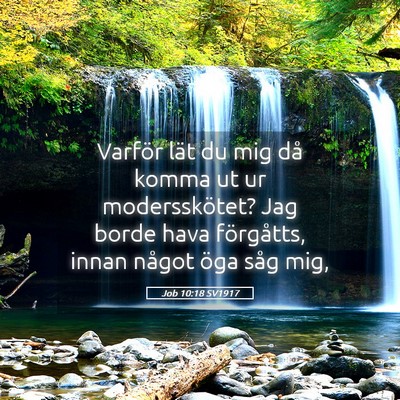 Picture 05 - Job 10:18 SV1917 - Varför lät du mig då komma ut ur - Bible Verse Picture