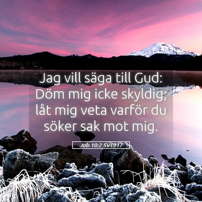 Picture 05 - Job 10:2 SV1917 - Jag vill säga till Gud: Döm mig icke skyldig; - Bible Verse Picture