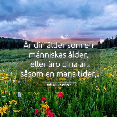 Picture 05 - Job 10:5 SV1917 - Är din ålder som en människas ålder, eller - Bible Verse Picture