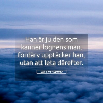 Picture 05 - Job 11:11 SV1917 - Han är ju den som känner lögnens män, - Bible Verse Picture