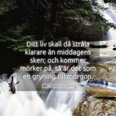 Picture 05 - Job 11:17 SV1917 - Ditt liv skall då stråla klarare än middagens - Bible Verse Picture