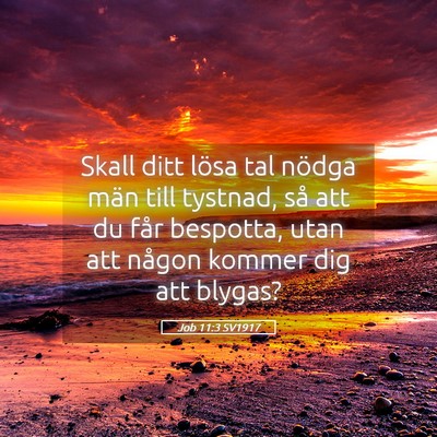 Picture 05 - Job 11:3 SV1917 - Skall ditt lösa tal nödga män till tystnad, - Bible Verse Picture