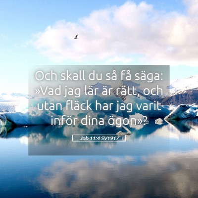 Picture 05 - Job 11:4 SV1917 - Och skall du så få säga: »Vad jag lär är - Bible Verse Picture