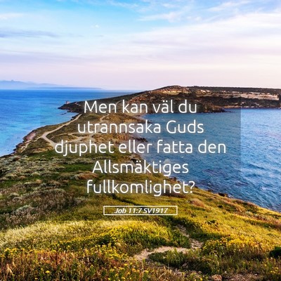 Picture 05 - Job 11:7 SV1917 - Men kan väl du utrannsaka Guds djuphet eller - Bible Verse Picture