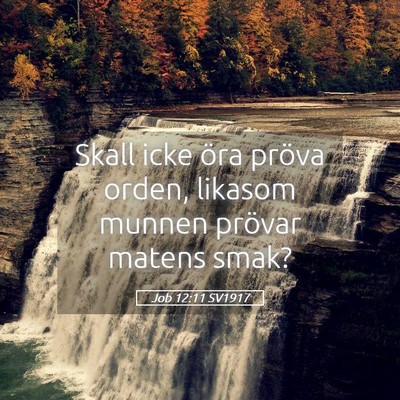 Picture 05 - Job 12:11 SV1917 - Skall icke öra pröva orden, likasom munnen - Bible Verse Picture