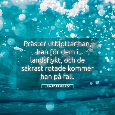Picture 05 - Job 12:19 SV1917 - Präster utblottar han, han för dem i - Bible Verse Picture