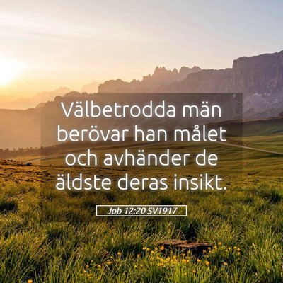 Picture 05 - Job 12:20 SV1917 - Välbetrodda män berövar han målet och - Bible Verse Picture