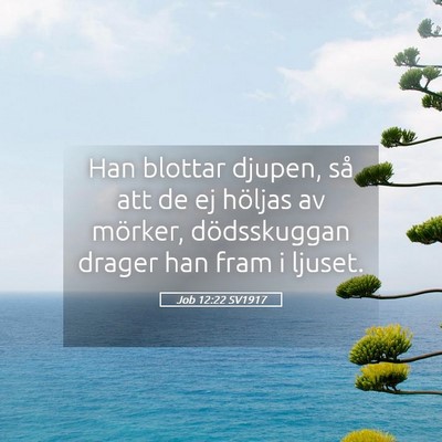 Picture 05 - Job 12:22 SV1917 - Han blottar djupen, så att de ej höljas av - Bible Verse Picture