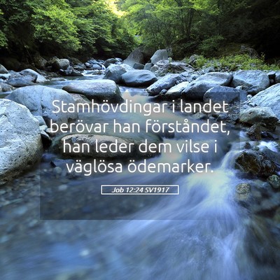 Picture 05 - Job 12:24 SV1917 - Stamhövdingar i landet berövar han - Bible Verse Picture