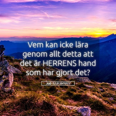 Picture 05 - Job 12:9 SV1917 - Vem kan icke lära genom allt detta att det är - Bible Verse Picture