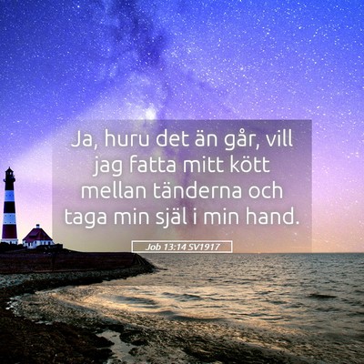 Picture 05 - Job 13:14 SV1917 - Ja, huru det än går, vill jag fatta mitt kött - Bible Verse Picture