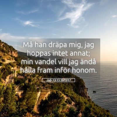 Picture 05 - Job 13:15 SV1917 - Må han dräpa mig, jag hoppas intet annat; min - Bible Verse Picture