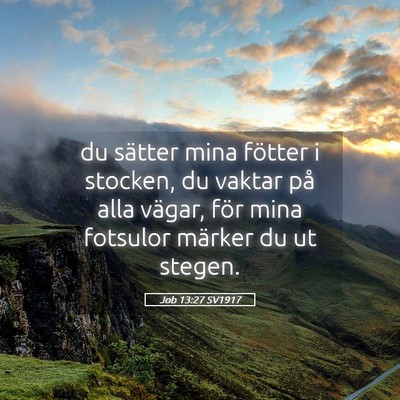 Picture 05 - Job 13:27 SV1917 - du sätter mina fötter i stocken, du vaktar på - Bible Verse Picture