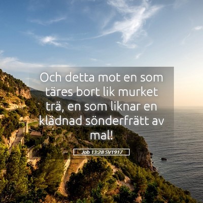 Picture 05 - Job 13:28 SV1917 - Och detta mot en som täres bort lik murket trä, - Bible Verse Picture