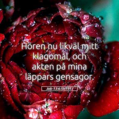 Picture 05 - Job 13:6 SV1917 - Hören nu likväl mitt klagomål, och akten på - Bible Verse Picture