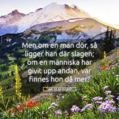 Picture 05 - Job 14:10 SV1917 - Men om en man dör, så ligger han där slagen; - Bible Verse Picture