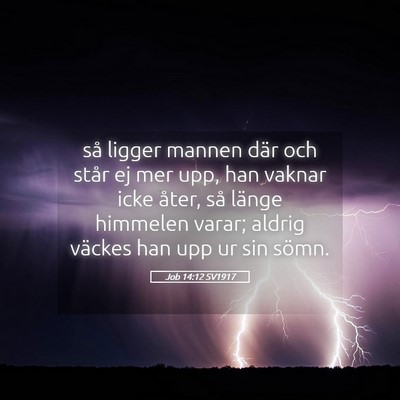 Picture 05 - Job 14:12 SV1917 - så ligger mannen där och står ej mer upp, han - Bible Verse Picture