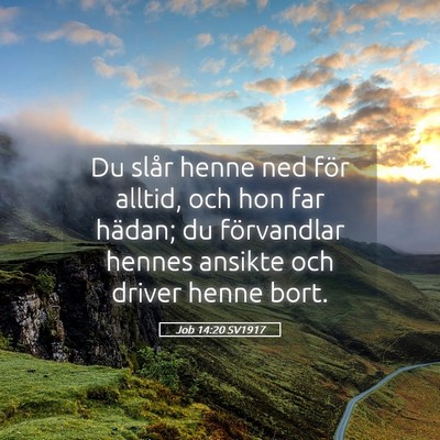 Picture 05 - Job 14:20 SV1917 - Du slår henne ned för alltid, och hon far - Bible Verse Picture