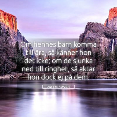 Picture 05 - Job 14:21 SV1917 - Om hennes barn komma till ära, så känner hon - Bible Verse Picture