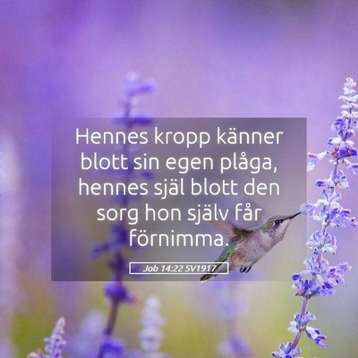 Picture 05 - Job 14:22 SV1917 - Hennes kropp känner blott sin egen plåga, - Bible Verse Picture