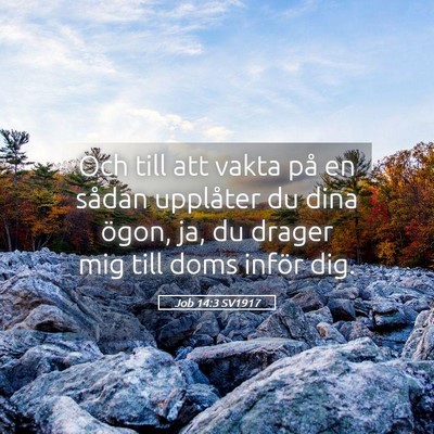 Picture 05 - Job 14:3 SV1917 - Och till att vakta på en sådan upplåter du - Bible Verse Picture