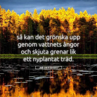 Picture 05 - Job 14:9 SV1917 - så kan det grönska upp genom vattnets ångor - Bible Verse Picture