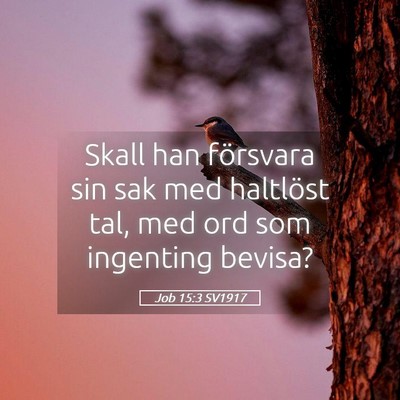 Picture 05 - Job 15:3 SV1917 - Skall han försvara sin sak med haltlöst tal, - Bible Verse Picture
