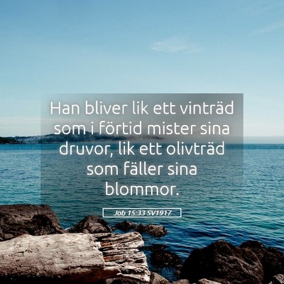 Picture 05 - Job 15:33 SV1917 - Han bliver lik ett vinträd som i förtid mister - Bible Verse Picture