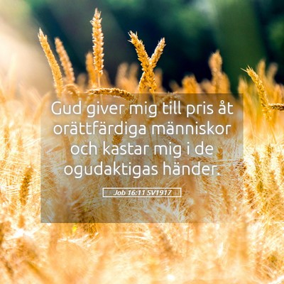 Picture 05 - Job 16:11 SV1917 - Gud giver mig till pris åt orättfärdiga - Bible Verse Picture