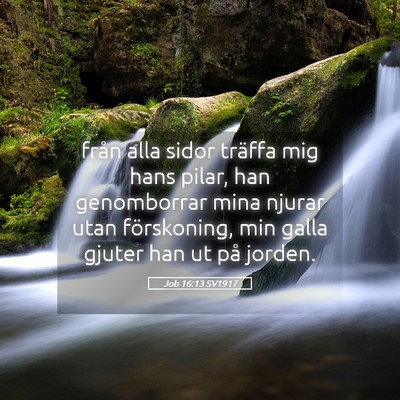 Picture 05 - Job 16:13 SV1917 - från alla sidor träffa mig hans pilar, han - Bible Verse Picture