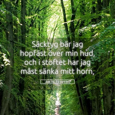 Picture 05 - Job 16:15 SV1917 - Säcktyg bär jag hopfäst över min hud, och i - Bible Verse Picture