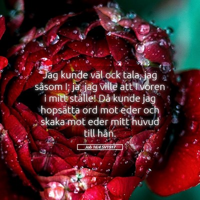 Picture 05 - Job 16:4 SV1917 - Jag kunde väl ock tala, jag såsom I; ja, jag - Bible Verse Picture