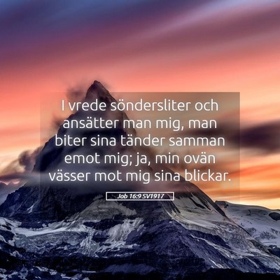 Picture 05 - Job 16:9 SV1917 - I vrede söndersliter och ansätter man mig, man - Bible Verse Picture