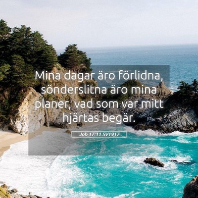 Picture 05 - Job 17:11 SV1917 - Mina dagar äro förlidna, sönderslitna äro - Bible Verse Picture