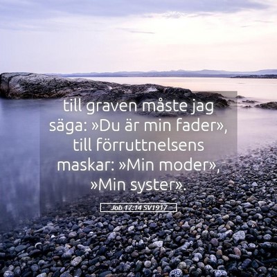 Picture 05 - Job 17:14 SV1917 - till graven måste jag säga: »Du är min - Bible Verse Picture