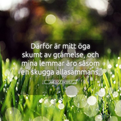 Picture 05 - Job 17:7 SV1917 - Därför är mitt öga skumt av grämelse, och - Bible Verse Picture