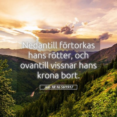 Picture 05 - Job 18:16 SV1917 - Nedantill förtorkas hans rötter, och ovantill - Bible Verse Picture