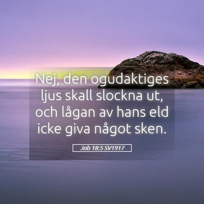 Picture 05 - Job 18:5 SV1917 - Nej, den ogudaktiges ljus skall slockna ut, och - Bible Verse Picture