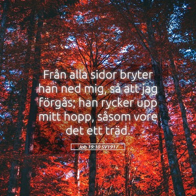Picture 05 - Job 19:10 SV1917 - Från alla sidor bryter han ned mig, så att jag - Bible Verse Picture