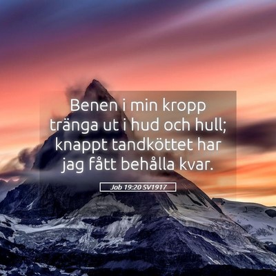 Picture 05 - Job 19:20 SV1917 - Benen i min kropp tränga ut i hud och hull; - Bible Verse Picture