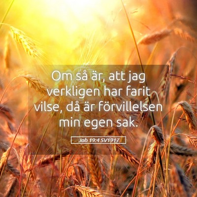 Picture 05 - Job 19:4 SV1917 - Om så är, att jag verkligen har farit vilse, - Bible Verse Picture