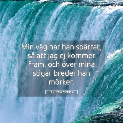 Picture 05 - Job 19:8 SV1917 - Min väg har han spärrat, så att jag ej kommer - Bible Verse Picture