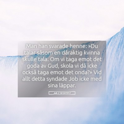 Picture 05 - Job 2:10 SV1917 - Man han svarade henne: »Du talar såsom en - Bible Verse Picture
