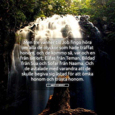 Picture 05 - Job 2:11 SV1917 - Men tre vänner till Job fingo höra om alla de - Bible Verse Picture