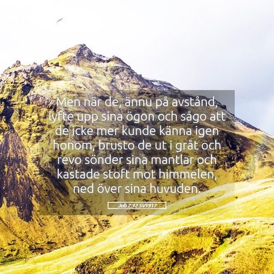Picture 05 - Job 2:12 SV1917 - Men när de, ännu på avstånd, lyfte upp sina - Bible Verse Picture