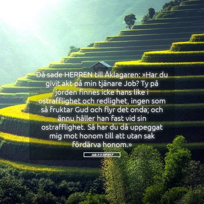 Picture 05 - Job 2:3 SV1917 - Då sade HERREN till Åklagaren: »Har du givit - Bible Verse Picture